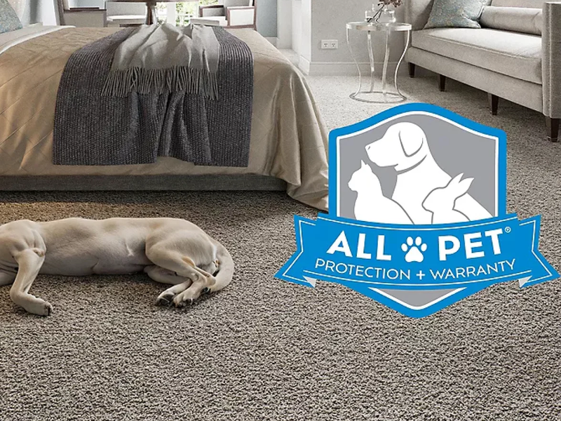 All Pet® is backed by our Pet® Protection & Warranty
